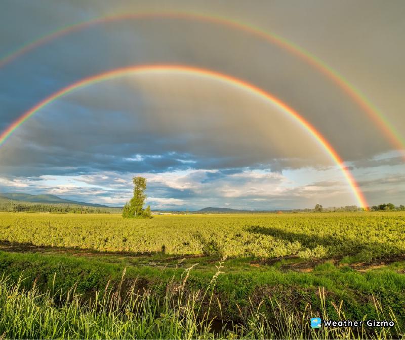 What do you do when deals you see a double rainbow